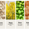 Illustration: ComFoo-ingredienser-1.png
